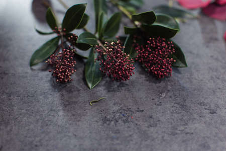 A variety of beautiful flowers lying on a grey table. Flower delivery. The job of a floristの写真素材