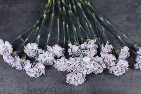 Beautiful bouquet of tinted dyed carnations. Flower deliveryの写真素材