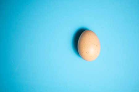 Fresh Egg on a Blue Backgroundの写真素材