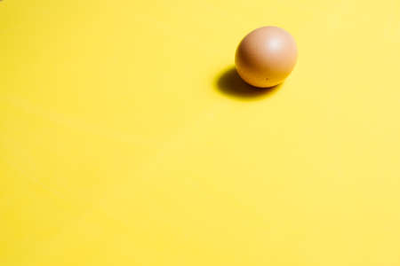 Fresh Egg on a Yellow Backgroundの写真素材