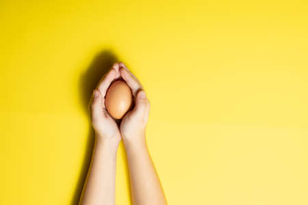 Fresh egg in hands on a yellow backgroundの写真素材