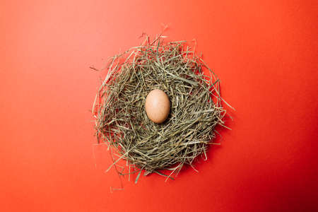 Fresh Egg on a Red Background. Happy Easter. View topの写真素材