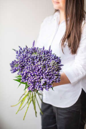 Beautiful bush Veronica on multicolored paper backgrounds with copy space. Spring, summer, flowers, color concept, women's day. の写真素材