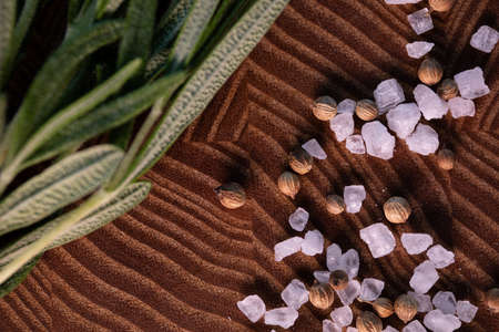 Close-up of thyme on a wooden Board with spices. Restaurant menu, a series of photos of various dishesの写真素材