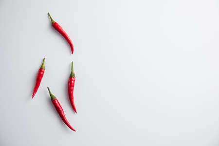 Red pepper on a white background. Minimum conceptの写真素材