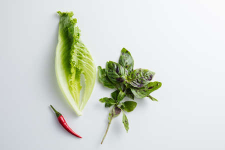 Salad and Basil on a white background. Minimum conceptの写真素材