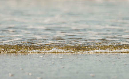Green-tinted waves crashing against a sandy beachの写真素材