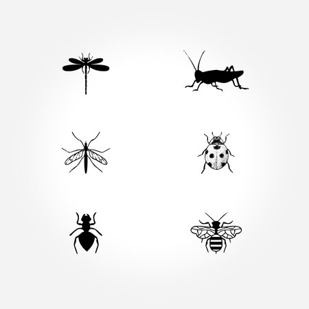Set of insects vectorのイラスト素材