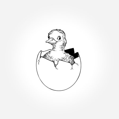 hatching chicken egg, hatching chicken egg naturallyのイラスト素材