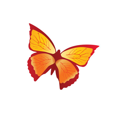 butterfly logo design, butterfly logo brandのイラスト素材