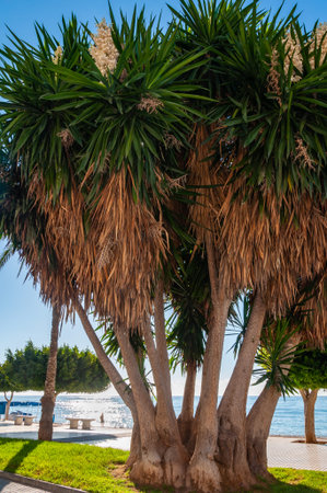Altea, a town of the white coast, a tourist destination in Spain. A few kilometers from Benidorm, the town of Altea and nearby Albir enjoy a fantastic sea climate all year round.の写真素材
