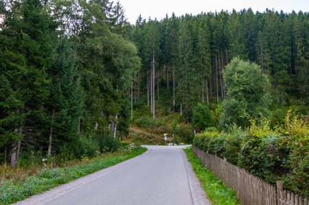 Black Forest in Bavaria, Germany. Untouched nature with mountains, forests, lakes and enchanting...