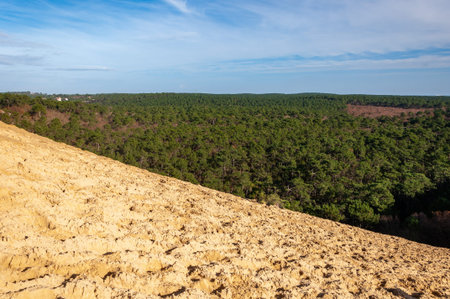 The Dune du Pilat of Arcachon in France, the highest sand dunes in Europe: paragliding, oyster...