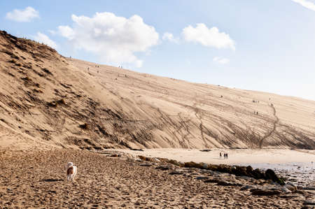 The Dune du Pilat of Arcachon in France, the highest sand dunes in Europe: paragliding, oyster cultivation, desert and beach.の写真素材