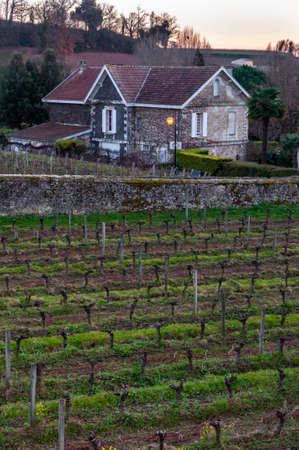 St. Emilion in Aquitaine, France. Enchanting medieval village famous for its fine wines, View of a typical hillside vineyard and of a wine estate, along the Bordeaux wine route.の写真素材