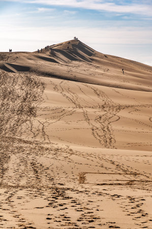 The Dune du Pilat of Arcachon in France, the highest sand dunes in Europe: paragliding, oyster...