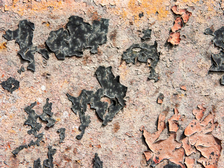 Typical detail of an antique metal panel of an Italian rural house, in iron with rust and cracked...