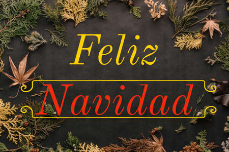 Illustration with "Feliz Navidad" written in Spanish language, with leaves and twigs. Christmas model for web, wallpaper, digital graphics, packaging, objects, gifts and decorations.の写真素材