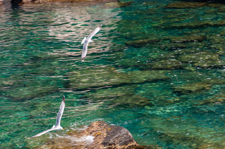 Portovenere, Italy. Beautiful seaside village with the famous gulf of poets that inspired the poems of Byron, a popular tourist destination for beach holidays and tracking in unspoiled nature. Gulf of poets.の写真素材