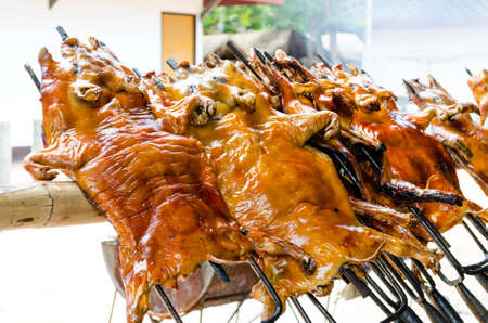 grilled suckling pig, traditional foodの写真素材