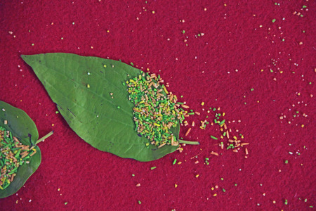 weddingの写真素材