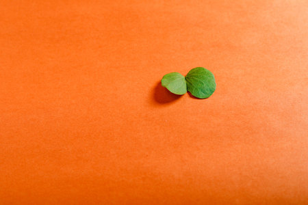 Happy Dussehra greeting card , green leaf and rice