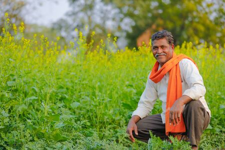 Indian farmer at black mustard  fieldの写真素材