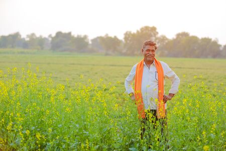 Indian farmer at black mustard  fieldの写真素材