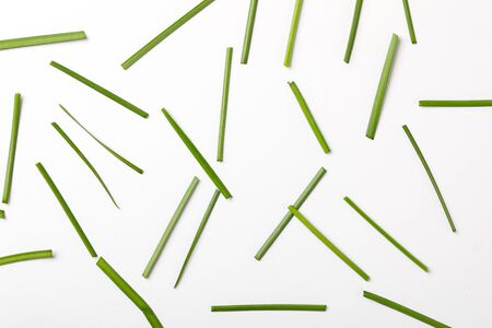 Green leaves on white background with copy spaceの写真素材