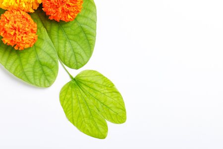 Happy Dussehra greeting card , green leafの写真素材