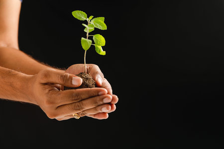Female hand holding small plant on black background ,save the tree concept