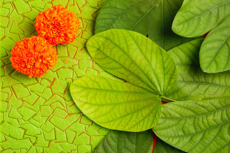Happy Dussehra greeting card , green leaf and rice