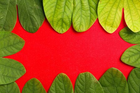 Happy Dussehra greeting card , green leaf and riceの写真素材