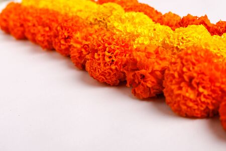 Marigold Flower rangoli Design for Diwali Festival , Indian Festival flower decorationの写真素材