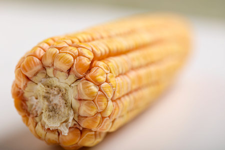 Dried corn seed on white background. Grains of ripe corn.