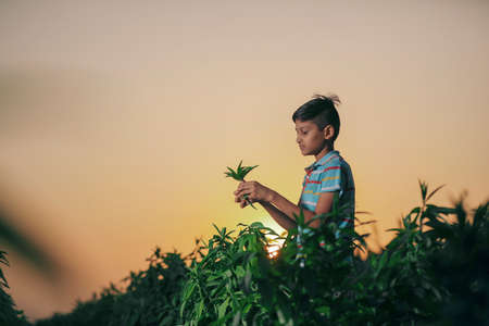 Happy indian child playing at groundの写真素材