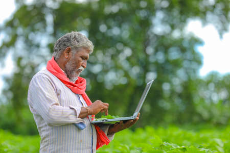 Indian farmer using a laptop at agriculture fieldの写真素材