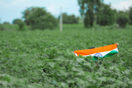 Indian child celebrating Independence or Republic day, Cute little Indian child holding, waving or running with Tricolour flag with greenery in the background,の写真素材