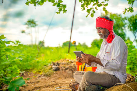 Indian farmer using mobile phone at Agriculture fieldの写真素材