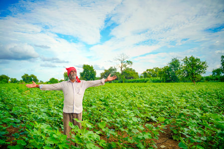 Indian farmer at cotton field