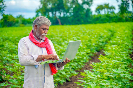 Indian farmer using a laptop at agriculture fieldの写真素材