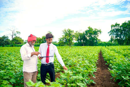 Indian farmer with agronomist at Cotton field , showing some information on tabの写真素材