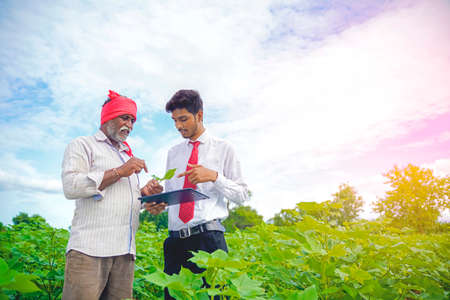 Indian farmer with agronomist at Cotton field , showing some information on tabの写真素材