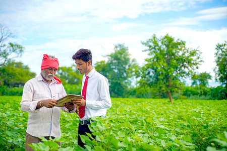 Indian farmer with agronomist at Cotton field and agronomist writing some information on letter padの写真素材