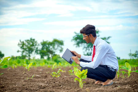 agronomist at small banana field , showing some information on tabの写真素材
