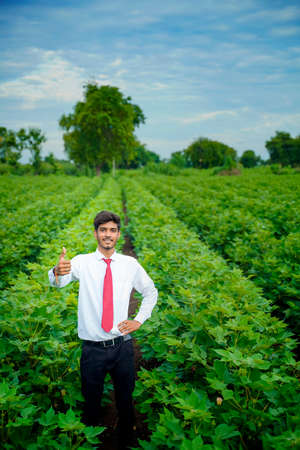 Indian Agronomist at Cotton field and showing thump upの写真素材