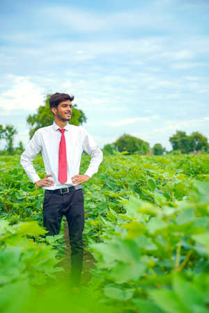 Indian Agronomist at Cotton fieldの写真素材