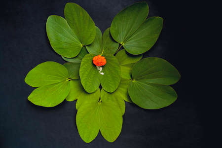 Indian festival dussehra , green leaf, rice and flowersの写真素材