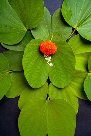 Indian festival dussehra , green leaf, rice and flowersの写真素材