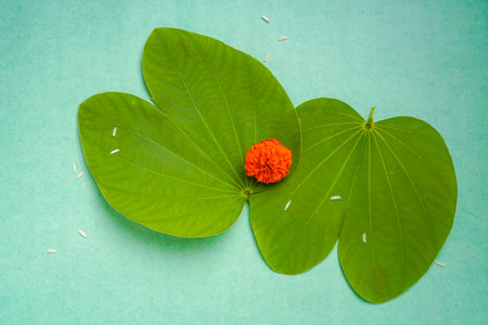 Indian festival dussehra , green leaf, rice and flowers